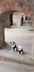 ①稼ぐために必要なこと