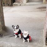 ②トレーダーの思考