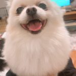 ⑦収入に対する思考