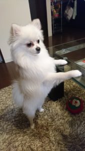 リスクとは！？