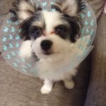 ⑨潜在能力を引き出す３つの力