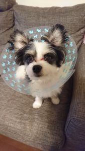 ⑨潜在能力を引き出す３つの力