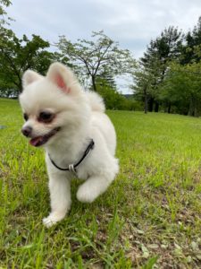 ⑰トレーダーの習慣について