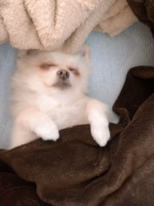 ⑪トレンドに乗るのではなく、トレンドで利益を上げる